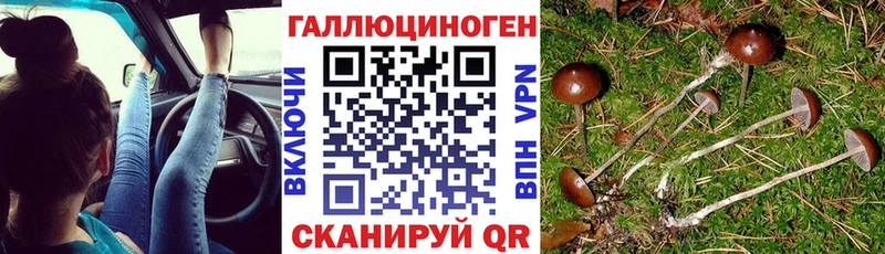 что такое наркотик  Белинский  Псилоцибиновые грибы мицелий 